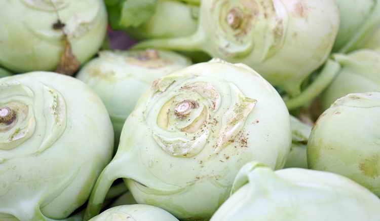 капуста кольраби польза и вред