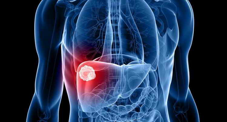 кольраби негативное влияние