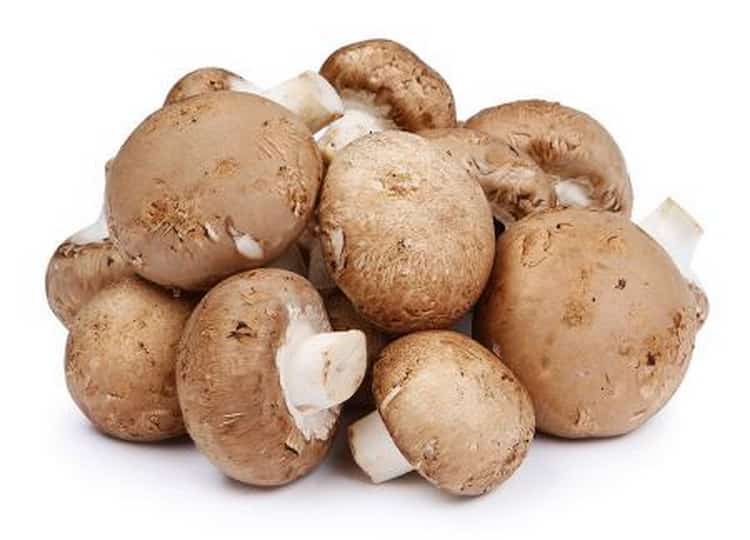 шампиньоны: калорийность и пищевая ценность